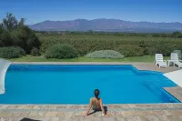 Vinas de Cafayate Wine Resort Hotels in Cafayate Department