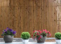 Hotel Vozina Hotels in Ormilia