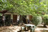 Max Safari Villa