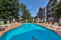 Super 8 by Wyndham Pigeon Forge Dollywood Lane