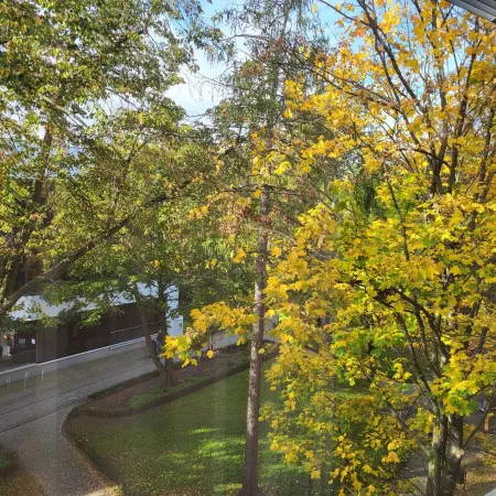 Hotel Centrum Отели в г. Львувек-Слёнски