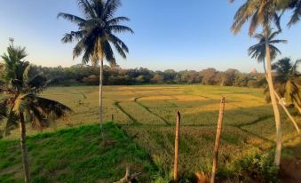 Anuradhapura Kingdom View Resort