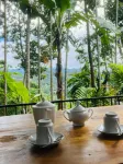 Mango Shadow Inn Ella