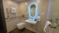 黑鷹巢
