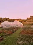 Slow Stay at Roebuck Farm - parking