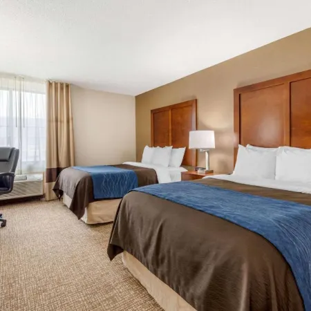 Comfort Inn Anderson South
