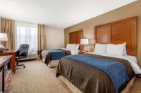 Comfort Inn Anderson South Hotels in Anderson