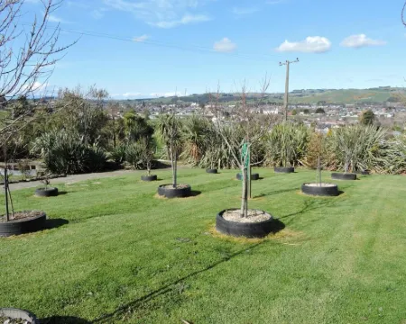 保護區民宿 戈爾酒店