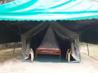 Cactus Eco Camp and Lodge - 2-Star