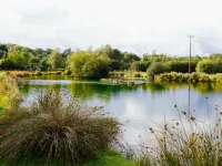 Brookhall Cottages Hotels in Lisburn