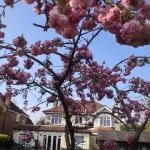 La B&B Hotels in Chichester