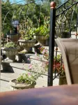 Four Seasons in Kutaisi Hotels in 