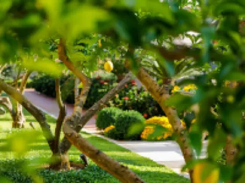 Hotel Lemongarden - Adults Only Hotels in Sutivan
