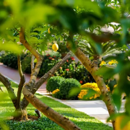 Hotel Lemongarden - Adults Only Ξενοδοχεία στην πόλη Sutivan
