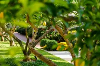 Hotel Lemongarden - Adults Only
