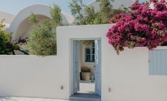 Spitia Santorini Villa Collection