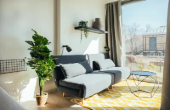 ذا ريكس ستوديوز آند سويتس