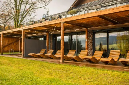 Amenity Hotel & Resort Orlické Hory Отели в г. Олешніце в Орліцкіх горах