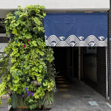 moku kuramae