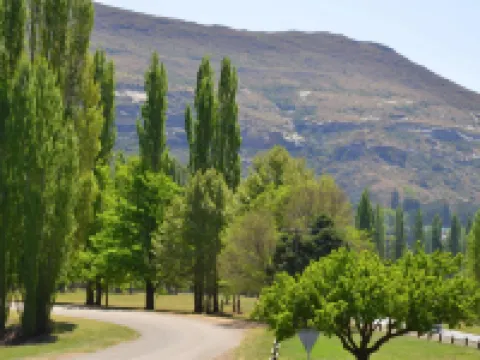 By the Way Guesthouse Hotels in Thabo Mofutsanyane