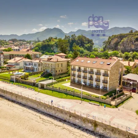 Hotel Silken Don Pepe y Don Pepe Ría