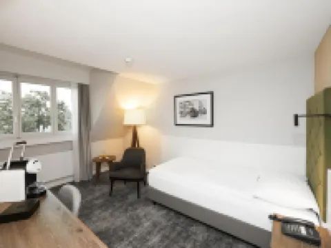 Hotel Löwen am See Hotels in Zug