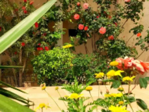 聖邁克爾住宅酒店 利勒魯斯酒店