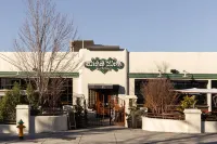 Kasa Downtown Asheville