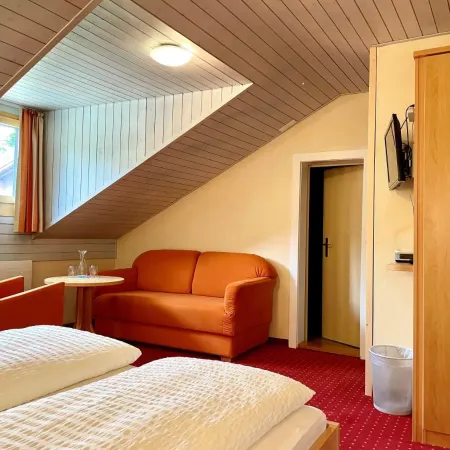 Boutique Und Bier Hotel des Alpes
