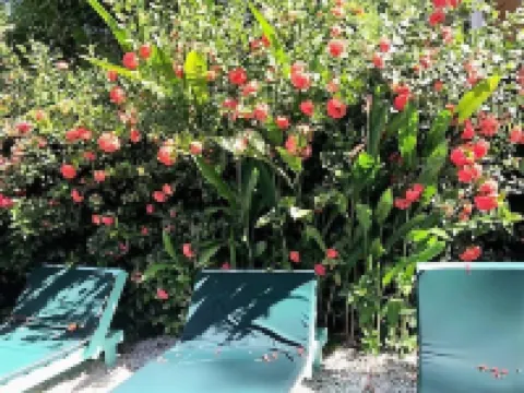 Tobago Hibiscus Golf Villas & Appartments فنادق في 