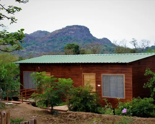 Aditya Forest Eco Resort Hotels in Mount Abu