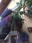 Hotel Salvanel Hotel di Varena