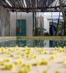 Guaya Hostel