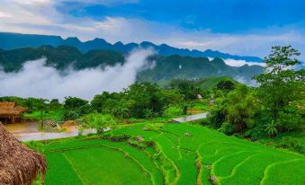 Pu Luong Jungle Lodge