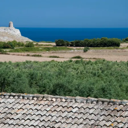Masseria Panareo