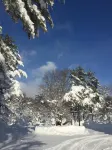Il Regalo