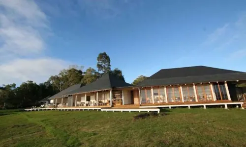 Altiplanico Rapa Nui