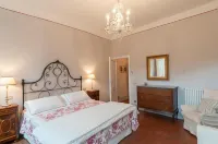 B&B Arena di Lucca Hotels near Via Fillungo