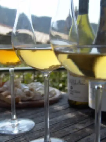 拉索斯塔奧託尼 III 號酒店