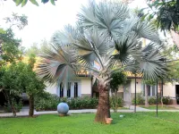 Morning Star Resorts Hotels near Ettukala Beach