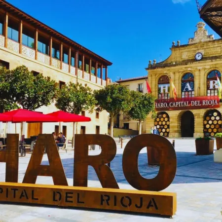 Apartamentos Señorio de Haro 3000
