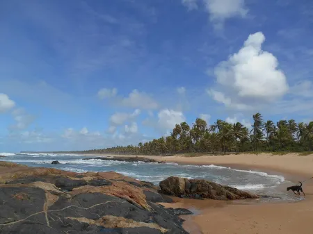 Pousada Araçás Village Отели рядом с достопримечательностью «Imbasai»