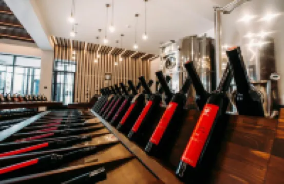 Porta Caucasia Kazbegi