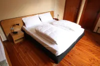 Hotel Adamello Hotels in Temu