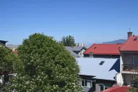 Hotel Local 101 - Mountain view