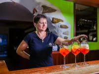 Hotel&Restaurant Armanac de Toubïe Hotel a Arnad