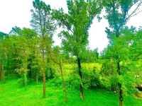 Imeri Park Hotel  kutaisi Hotels in Варцихе