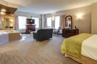 Hôtel du Jardin Hotel di Saint-Felicien