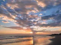 El Belga Loco - Beach