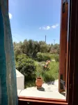 Blue Fish - Ocean View